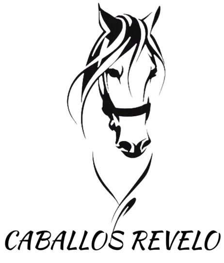 Logo de la Empresa
